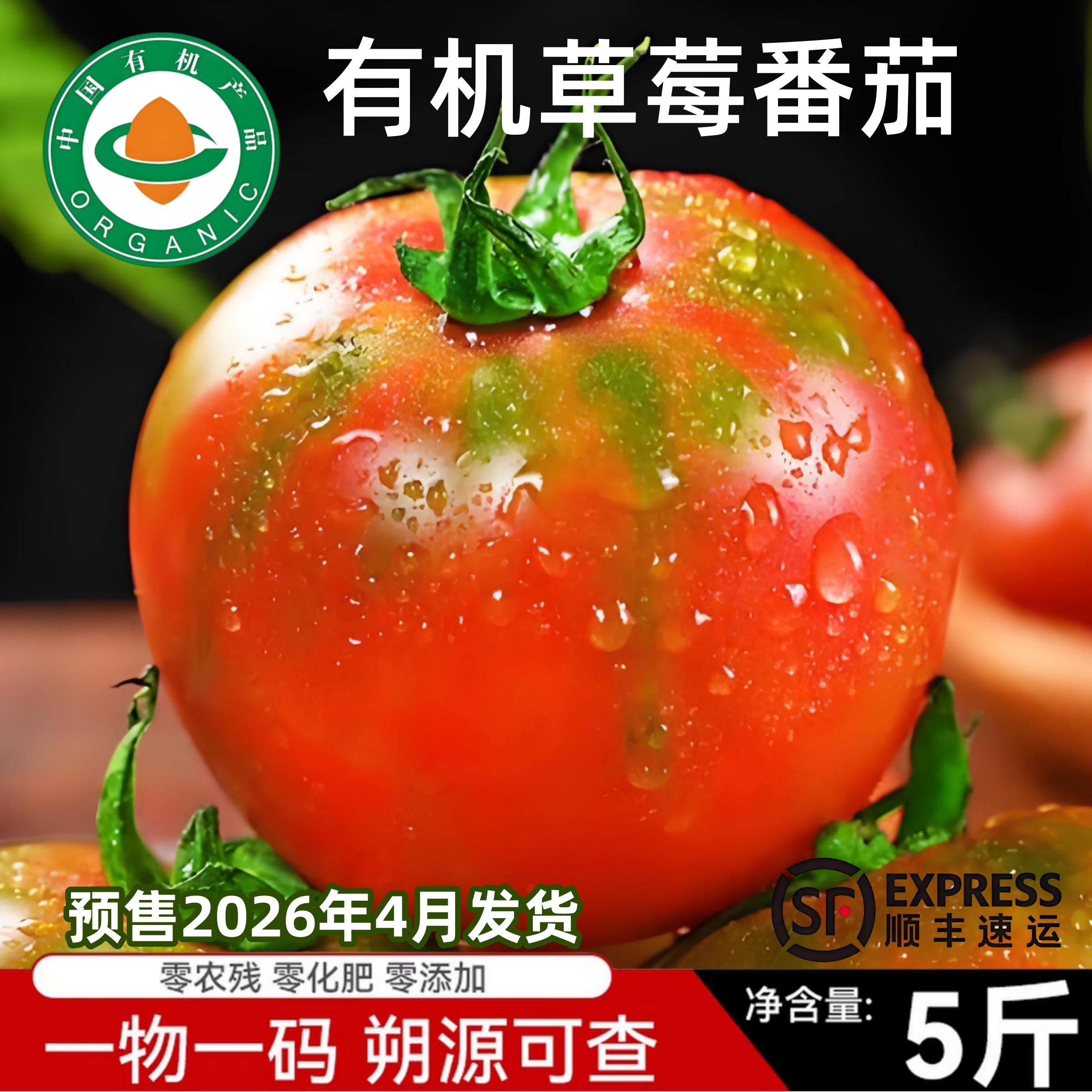 有机铁皮草莓番茄孕妇水果沙瓤