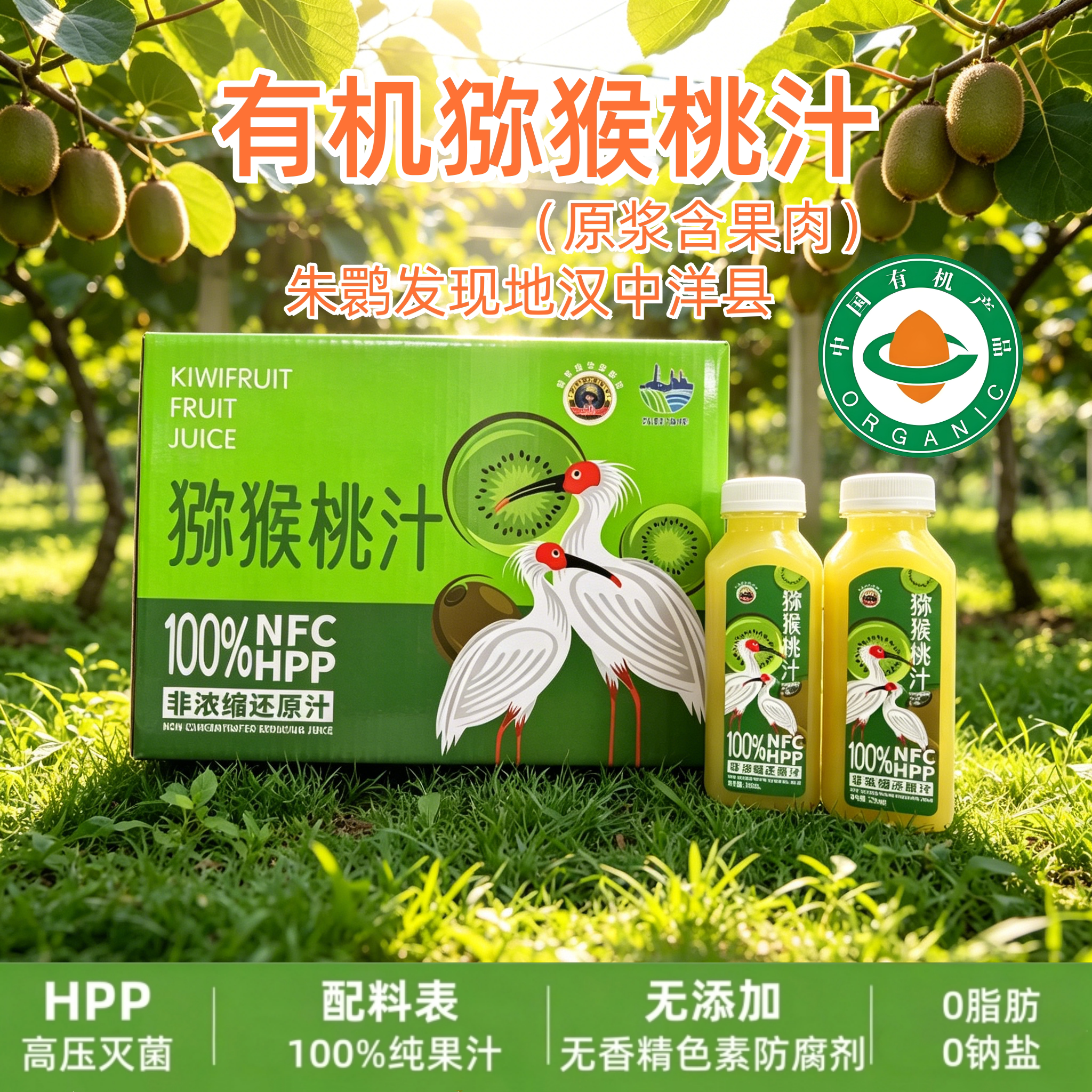 NFC/HPP鲜榨100%有机猕猴桃汁