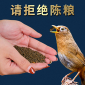 贵州凯里苗寨精品雷公山画眉鸟食饲料生鸟原毛唱鸟提性壮膘鸟粮