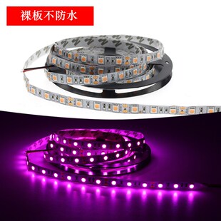 12Vled灯带5050滴胶防水粉色灯带 24V裸板不防水浪漫粉红色软灯条