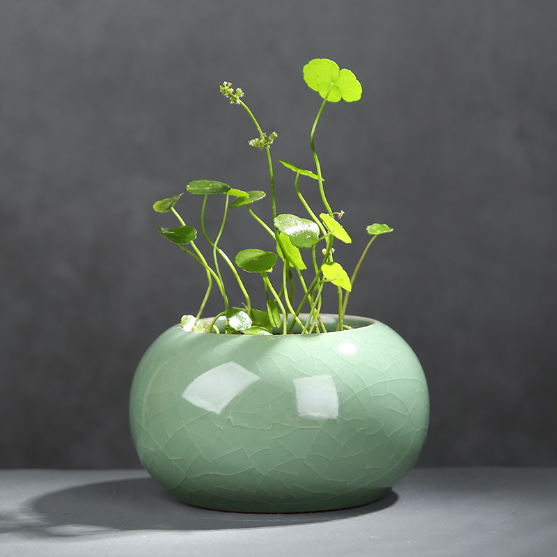 铜钱草草水养绿萝桌面水培办公桌哥窑花瓶陶瓷小花盆无孔专用器皿,鲜花速递/花卉仿真/绿植园艺,花盆,淘宝优惠券,粉丝福利购,淘宝优惠卷