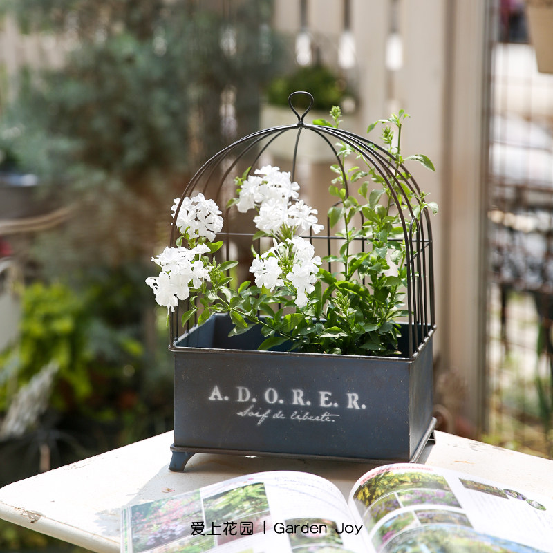 爱上花园丨园艺杂货 铁艺花盆花桶挂件摆件 可悬挂四足鸟笼花盒,鲜花速递/花卉仿真/绿植园艺,花篮,淘宝优惠券,粉丝福利购,淘宝优惠卷