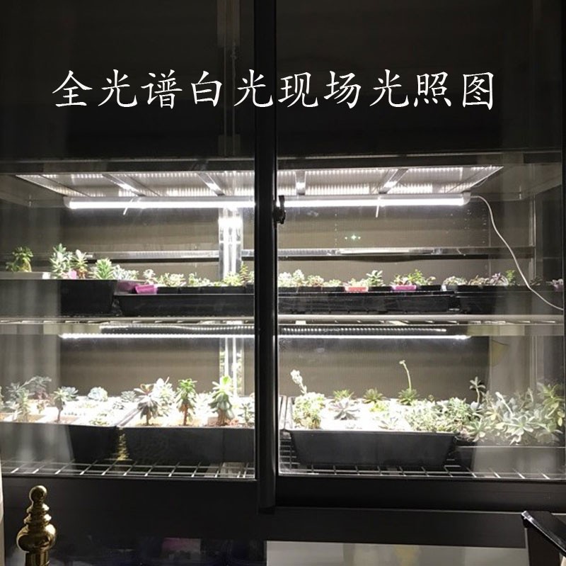 新全光谱白光植物生长补光灯蔬菜苔藓微景观盆景多肉上色防徒灯管