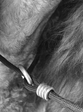 5mm黑色柔软尼龙专业比赛牵引绳比熊柯基法牛遛狗训犬P链包邮