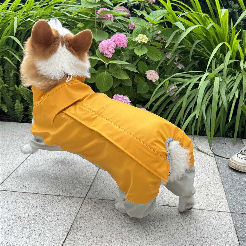 宠物狗雨衣四脚全包柯基专用雨衣中小型犬法斗巴哥短腿狗专用雨具