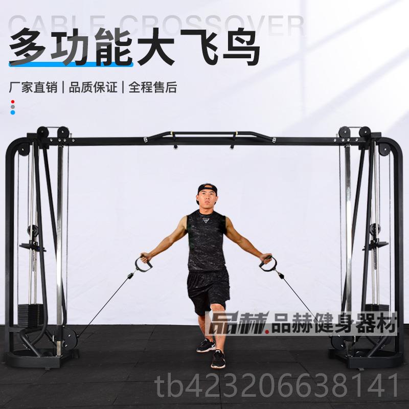 正品健合身房综力龙量器械内大型专业商用大飞鸟门架训练器室健身