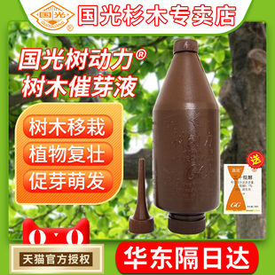 国光树动力大树打破休眠催芽液移栽促发芽促成活注射液大树营养液