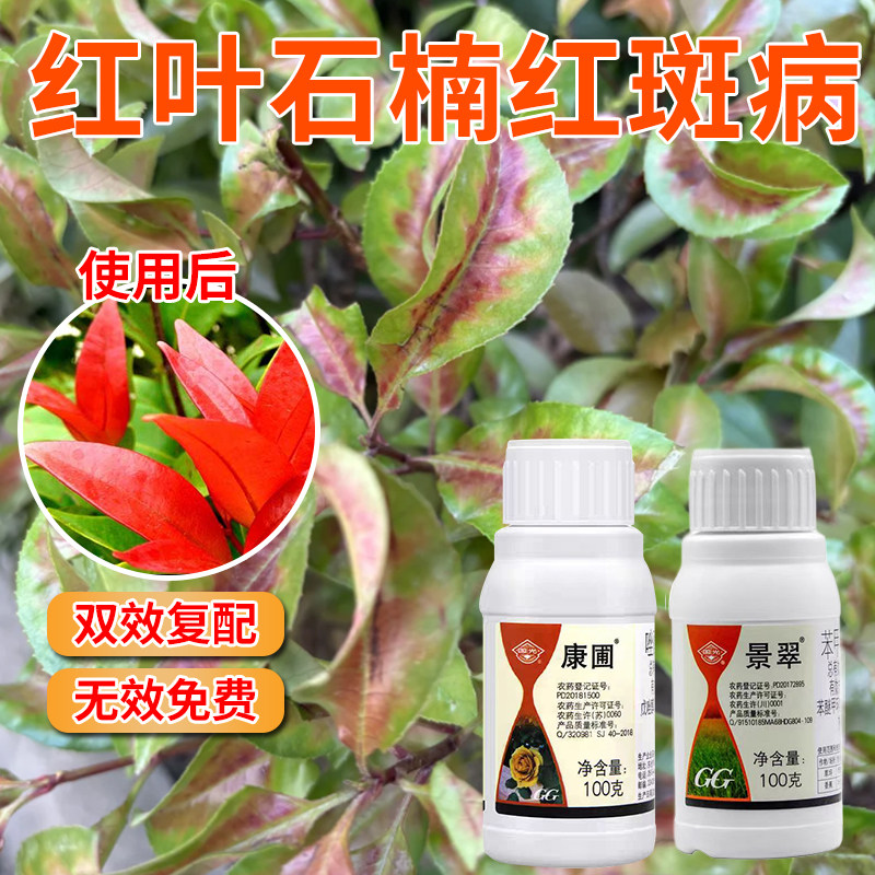 国光思它灵植物微量元素氨基酸水溶叶面肥红叶石楠红斑病杀菌剂