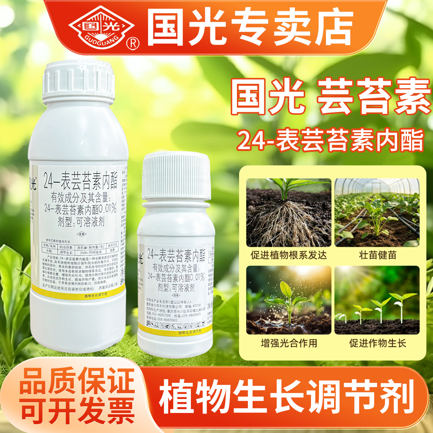 国光24-表芸苔素内酯植物生长调节剂激活僵苗缓解药害促增产农药