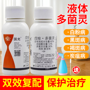 国光液体多菌灵植物杀菌剂白粉病黑斑炭疽病专用花卉药官方专卖店