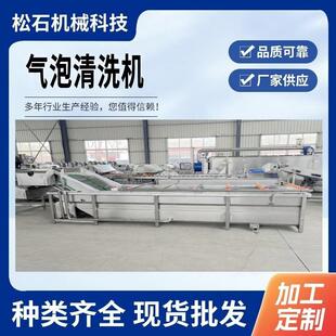 自动化果蔬清洗机山药胡萝卜清洗线连续叶类清洗设备