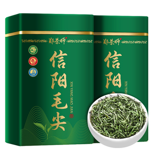 郑茶师2026新茶毛尖茶叶信阳毛尖明前特级嫩芽浓香型正品 绿茶500g