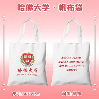 哈佛大学周边帆布包名校帆布袋学生上学手提包女单肩包书