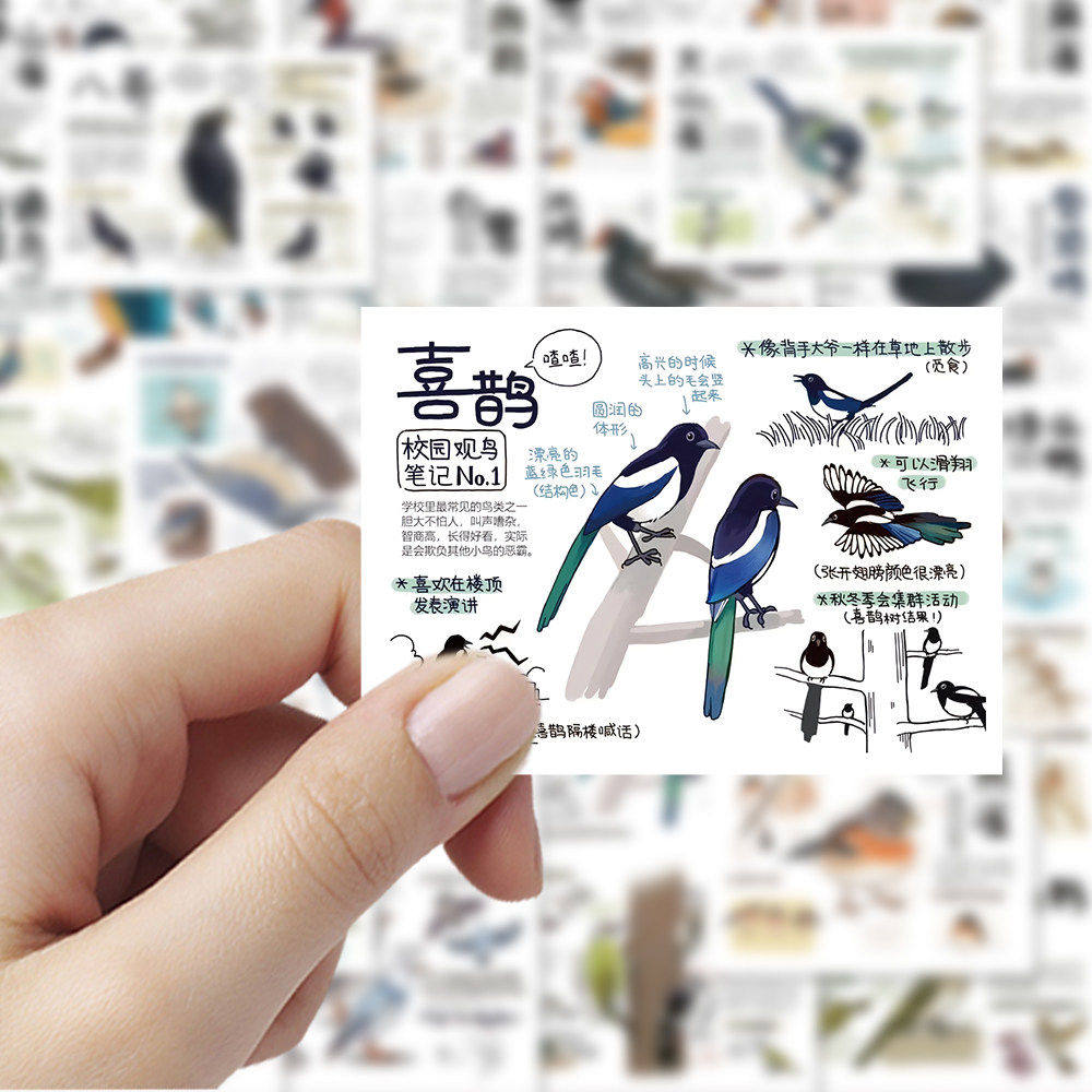 126张手绘鸟类图鉴防水贴纸