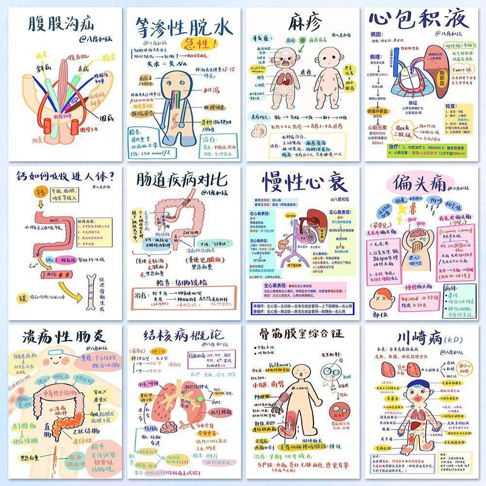 192张医学解剖自粘防水贴纸
