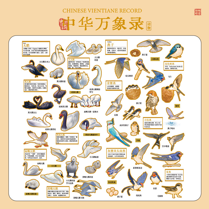 鸟类飞禽动物贴纸黑白天鹅小燕子中华万象录立体国潮图案防水贴纸