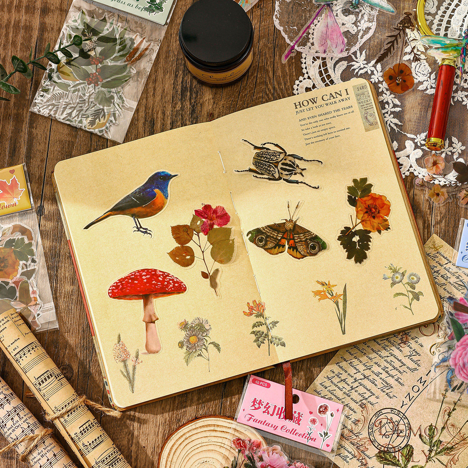 鸟类动植物标本贴纸创意树叶压花清新贴画装饰笔记本手账素材贴纸,文具电教/文化用品/商务用品,贴纸/立体贴纸,淘宝优惠券,粉丝福利购,淘宝优惠卷