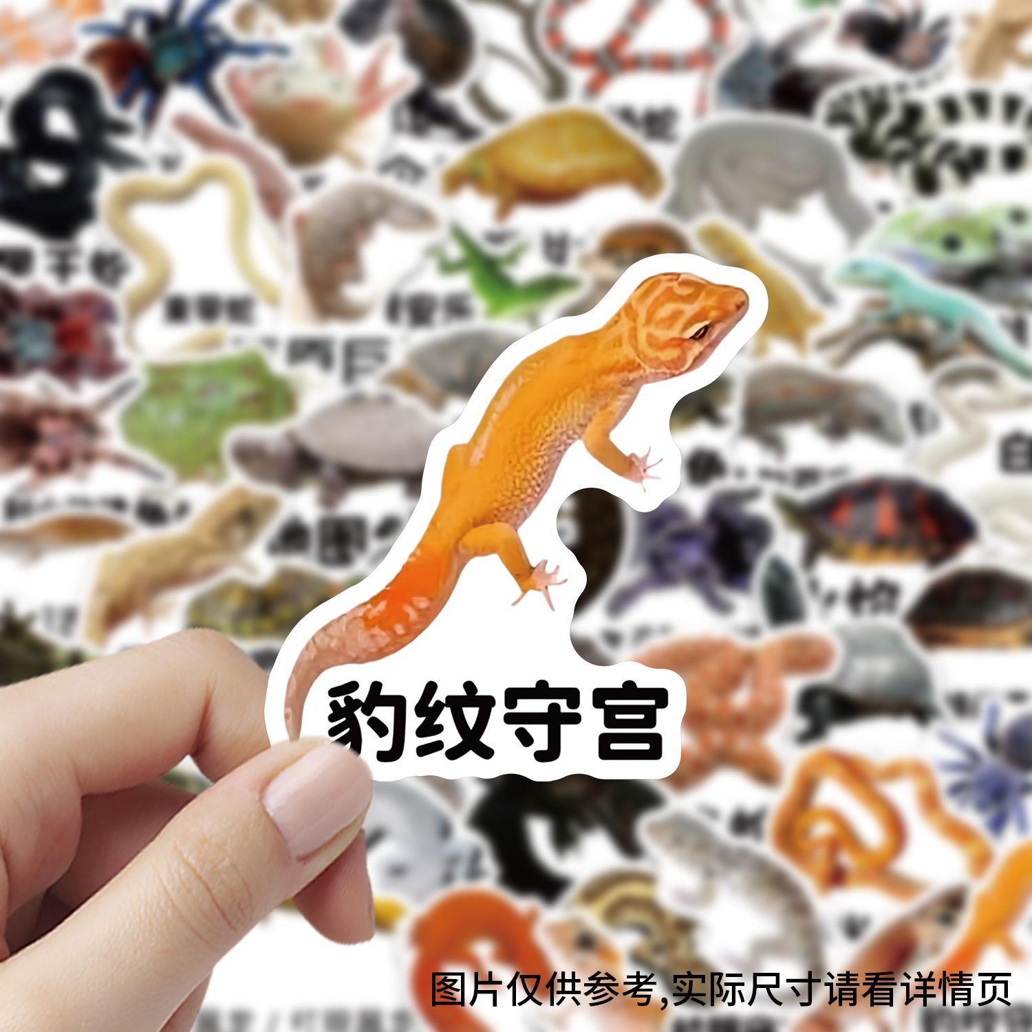 爬宠图鉴贴纸守宫乌龟蜘蛛蛇创意趣味动物异宠手机壳ipad防水贴画
