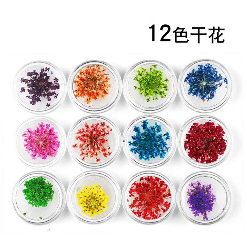 美甲12色套装干花光疗甲小压花蕾丝花指甲饰品贴花贴纸日系装饰