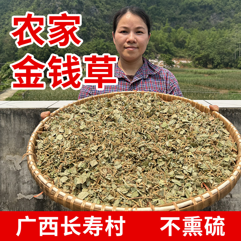 广西正宗金钱草中草药肾结石排石茶泡水喝官方旗舰店野生中药材