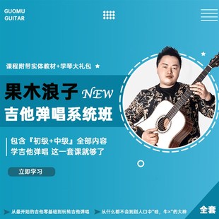 果木浪子 吉i他弹唱 系统课 陪练答疑指导