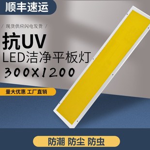 抗UV洁净平板灯300x1200暖黄光斜边面板灯超薄LRED净化灯彩钢板顶