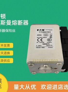 全新快速熔断器保险17l0M4366 170M4367 170M4368 170M4388