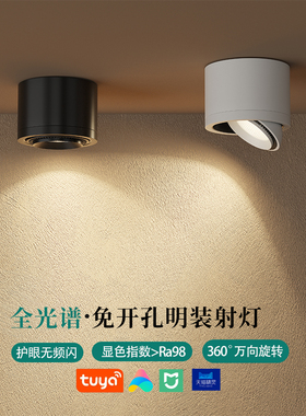 明装小射灯可调角度客厅店铺商用LEDI防眩筒灯护眼全光谱中山灯具