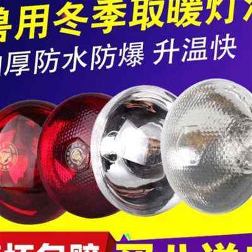狗狗节能灯取暖灯设备猫小t鸡育雏E保温灯鱼缸控温眼自动猪用加热