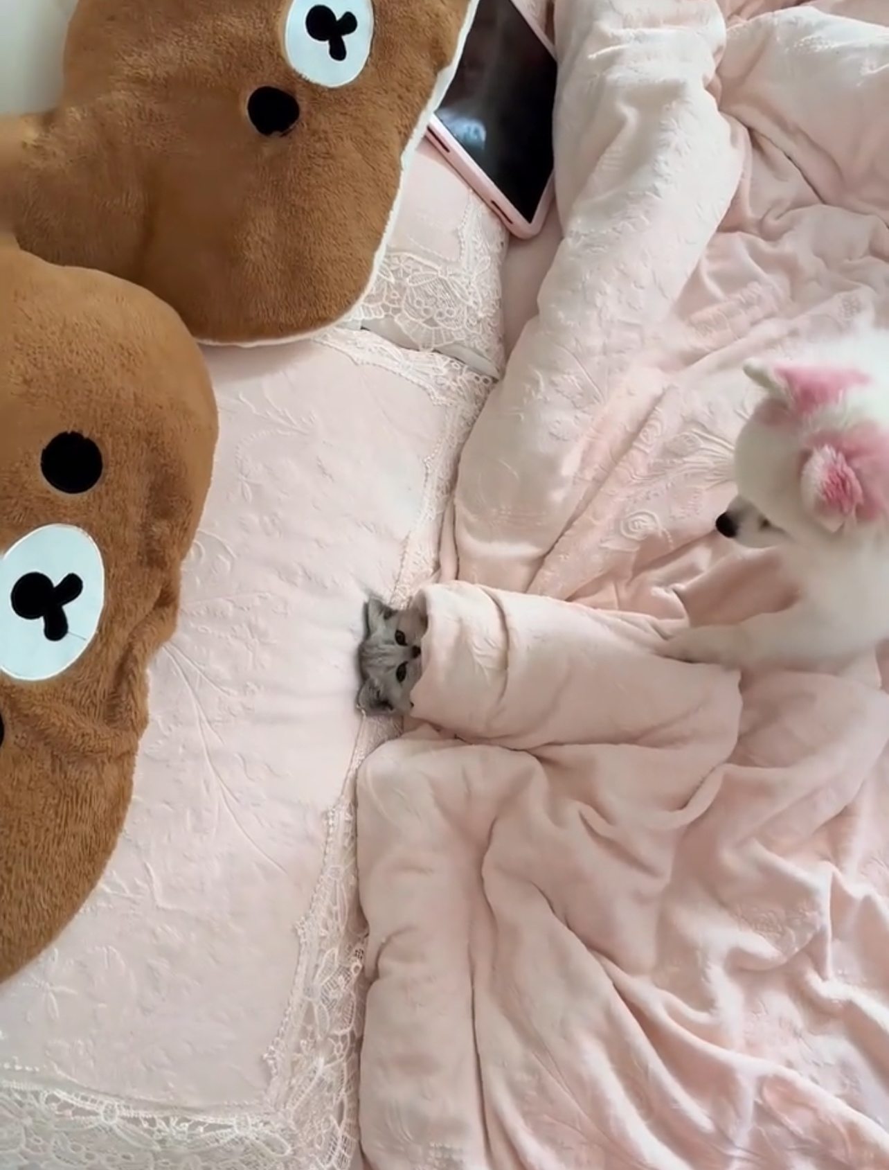 新款绒面公主风床上用品加厚牛奶绒四件套冬季粉色少女心床单被套