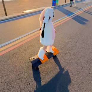 新款2026套装小兔子衣服女孩加绒四件套冬装亲子装母女童可爱毛绒