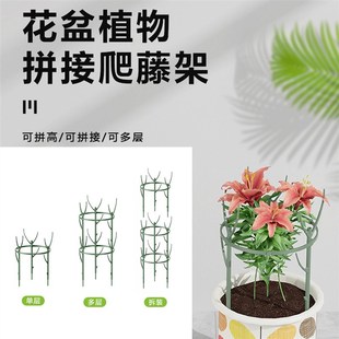 花支架防倒 花盆爬藤架子花卉植物蟹爪兰专用家庭园艺支撑架杆子