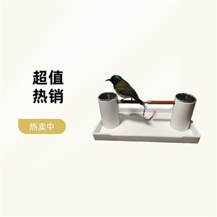 小型鸟站架鸟架适合绣眼贝子黄雀山雀等鸟笼鸟架鸟站架鸟盘鸟神器