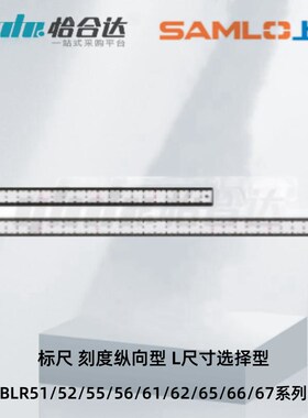 怡合达标尺BLR51/52/55/56/61/62/65/66/67-L100 300 刻度纵向型
