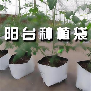 阳台无土栽培种植袋