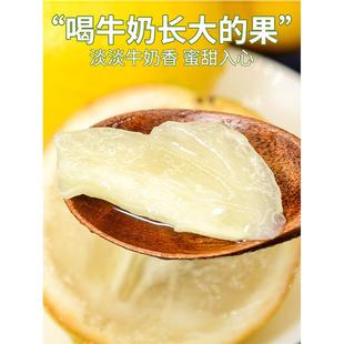 黄晶果新鲜正宗冬蜜鲜果四季黄宝石大果高山特产高端牛奶果黄晶果