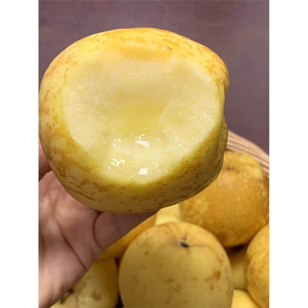 山东维纳斯黄金苹果丑苹果锈香甜孕妇水果新鲜水果当季脆甜汁包邮,包装,水果包装,淘宝优惠券,粉丝福利购,淘宝优惠卷