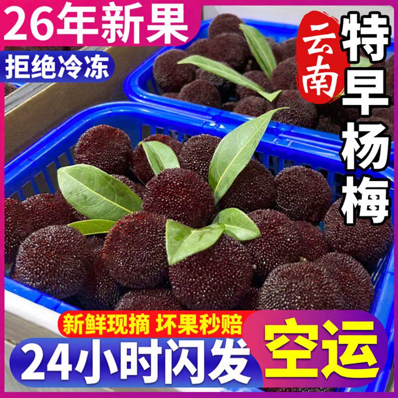 现货2026空运云南杨梅鲜果新鲜现摘现发当季水果泡酒6斤整箱包邮