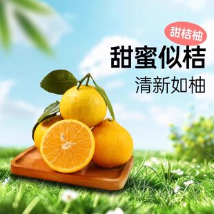【甜心桔柚】福建莆田仙游桔柚新鲜水果包邮当应季大人小孩都爱吃