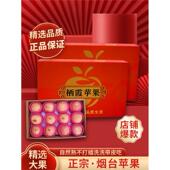 高端2024年新果正宗烟台栖霞红富士苹果礼盒装 顺丰 包邮 送礼特级