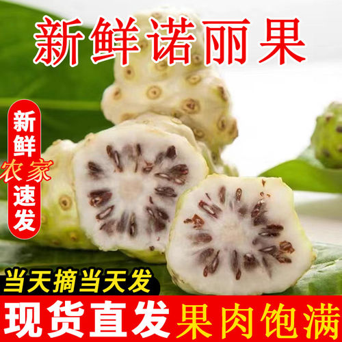 诺丽果新鲜海南水果5斤现