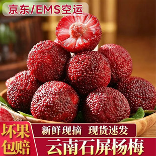【JD/EMS空运】正宗云南石屏杨梅鲜果水果酸甜可口孕妇当季整箱