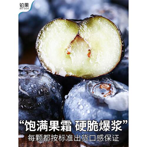 顺丰山东蓝莓新鲜水果12