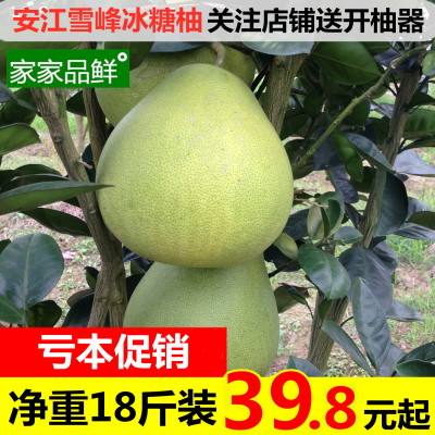 湖南怀化安江雪峰冰糖柚小苦柚药柚子非蜜柚带箱大果金兰柚