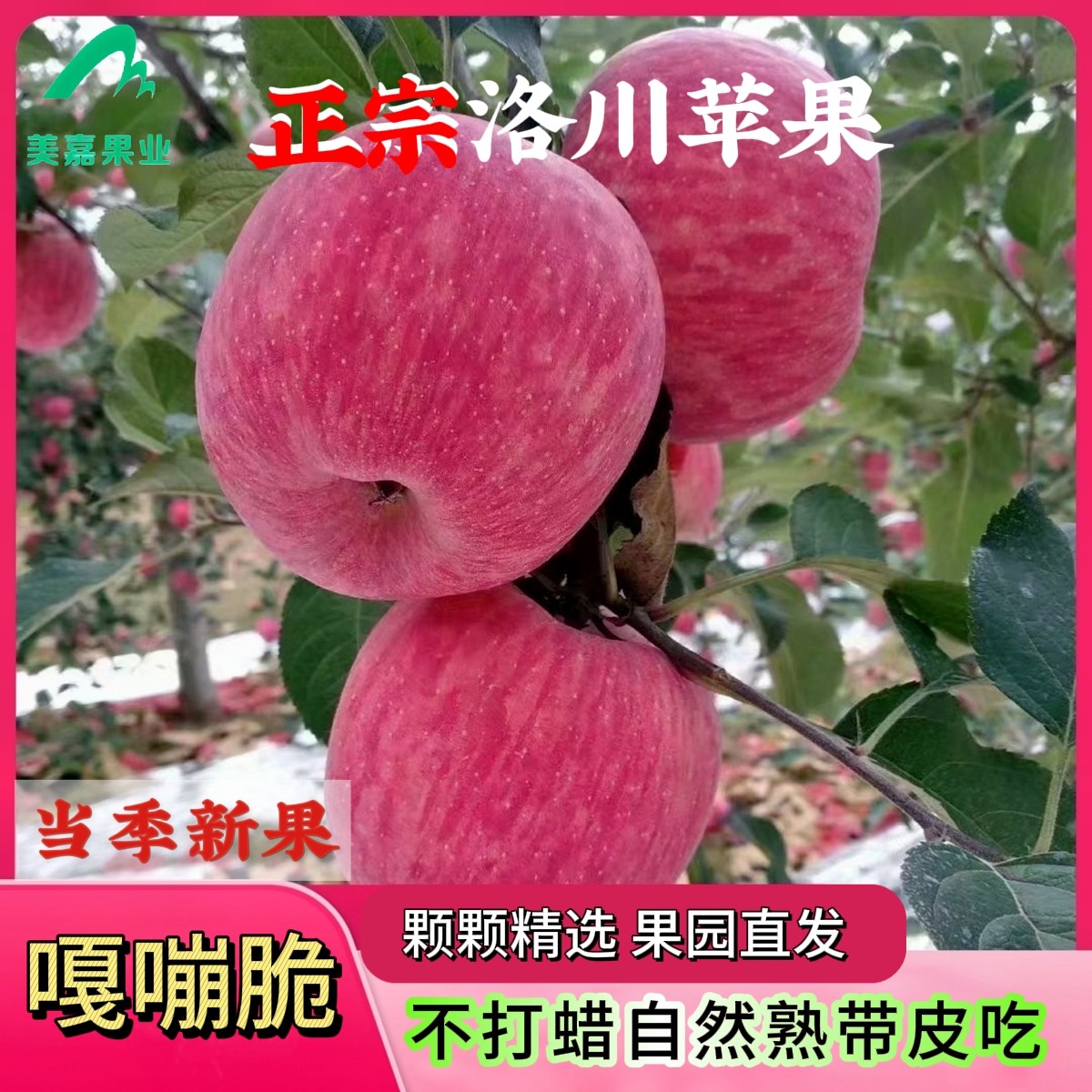 正宗陕西延安整箱24个装红富士苹果10斤孕妇吃的新鲜水果