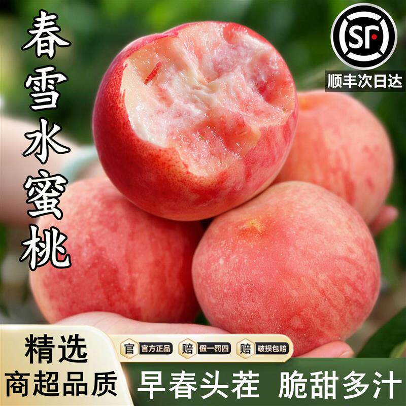正宗河北春雪水蜜桃子新鲜水果5斤当季时令脆桃毛桃孕妇水果整箱