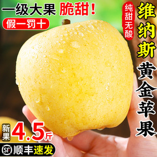 雀斑维纳斯黄金苹果正宗新鲜水果整箱礼盒装山东黄苹果元帅