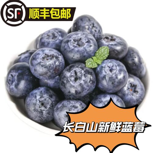 长白山新鲜蓝莓鲜果东北