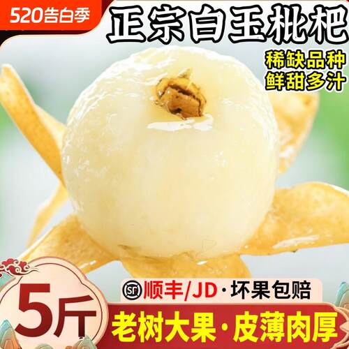 顺丰正宗白玉枇杷鲜果应季水果新鲜现摘大果青种琵琶超甜当季整箱