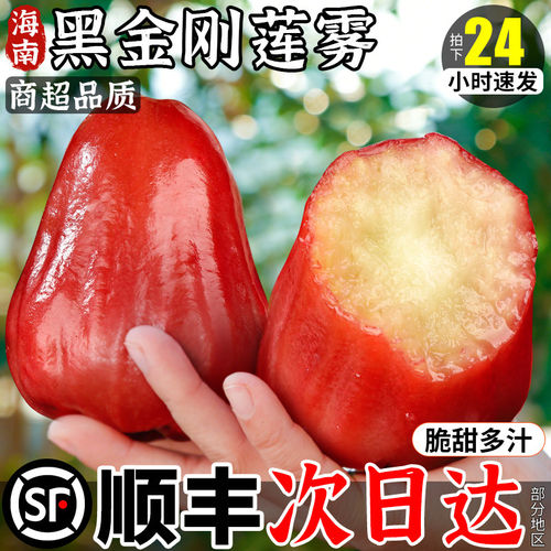 顺丰黑金刚莲雾新鲜水果